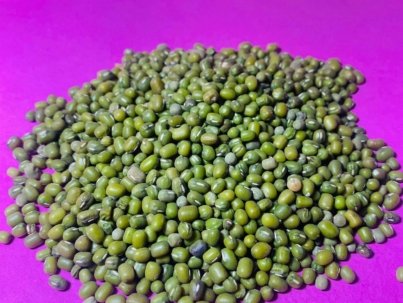 green mung bean